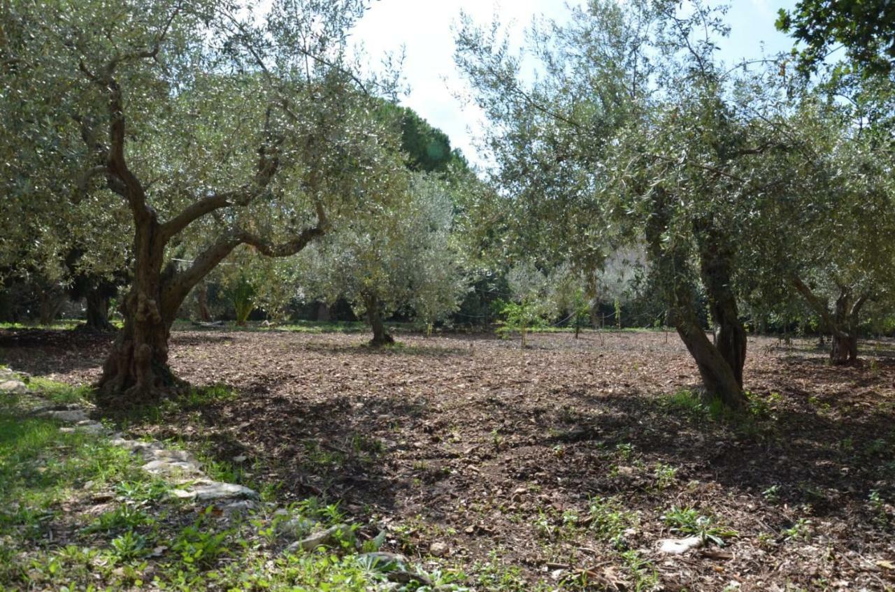 Villa Alchea Locazione Turistica Modica Exteriér fotografie